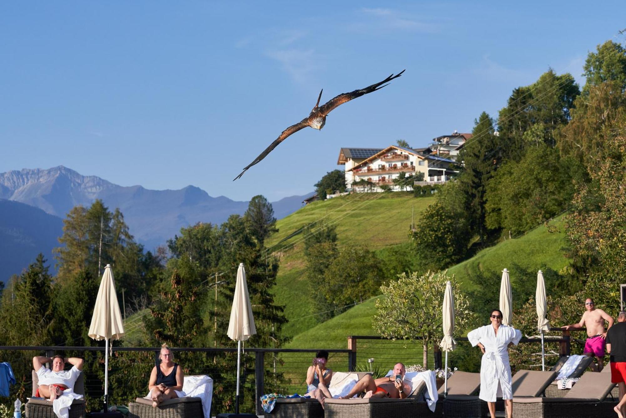 Hotel Panorama Schenna